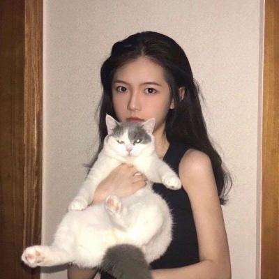 炉石传说魔兽英雄传游戏下载